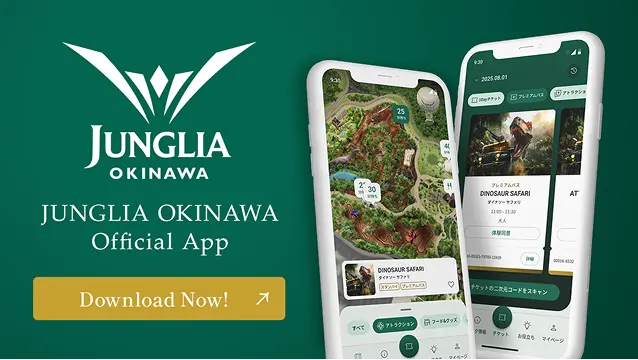 Official App Download